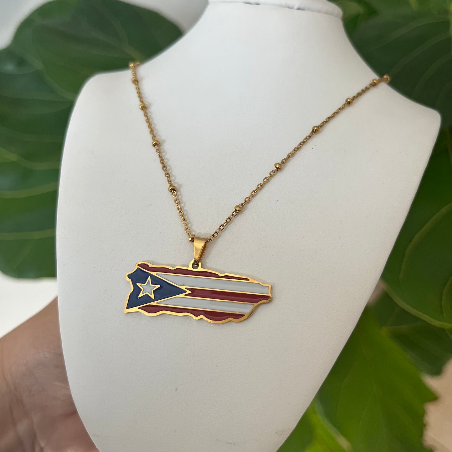 Mi Isla PR